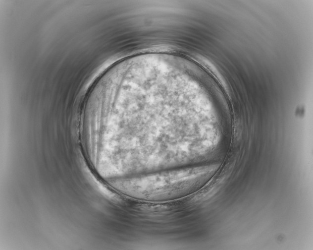 X0000093150851200710241401