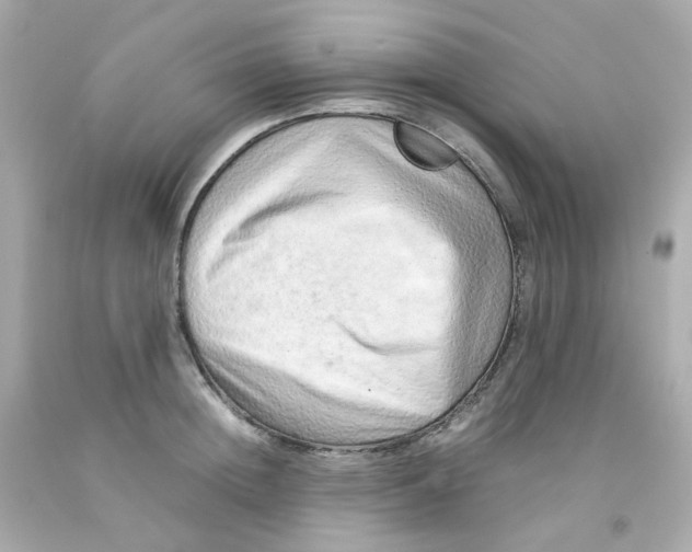 X0000093150852200710241401