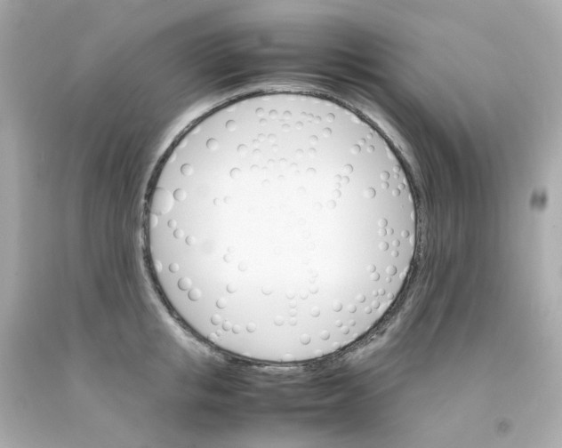 X0000093150853200710241401