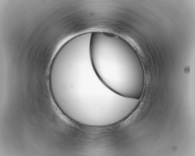 X0000093150854200710241401