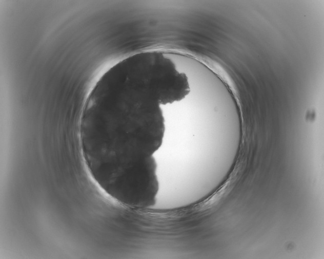 X0000093150855200710241401