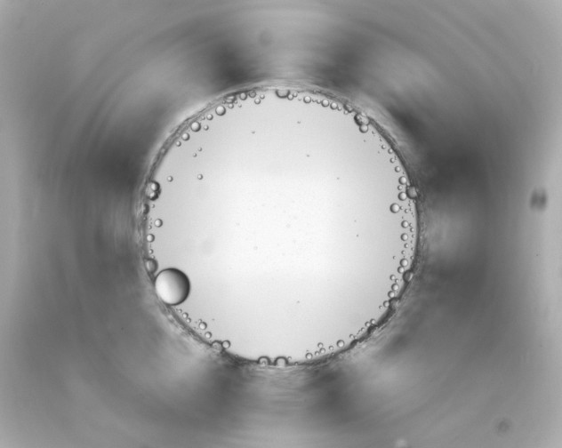 X0000093150856200710241401