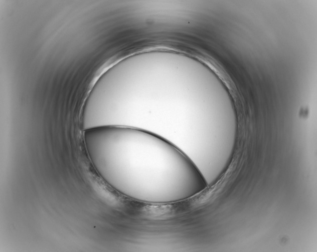 X0000093150858200710241401