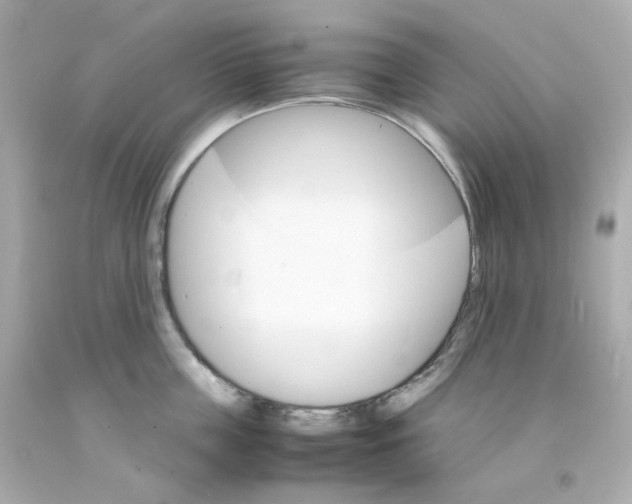 X0000093150859200710241401