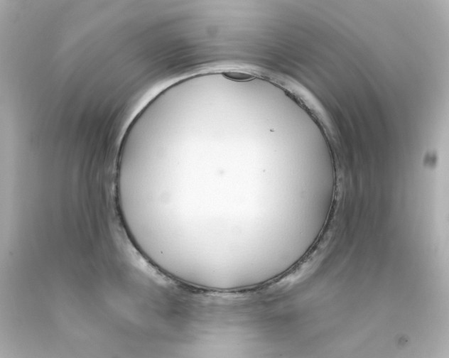 X0000093150860200710241401