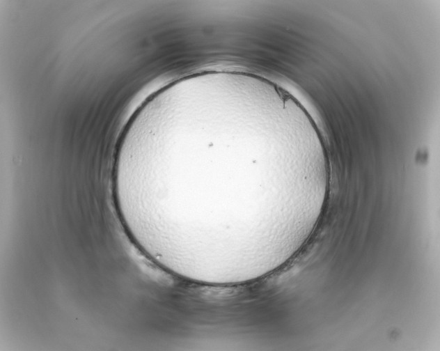 X0000093150861200710241401