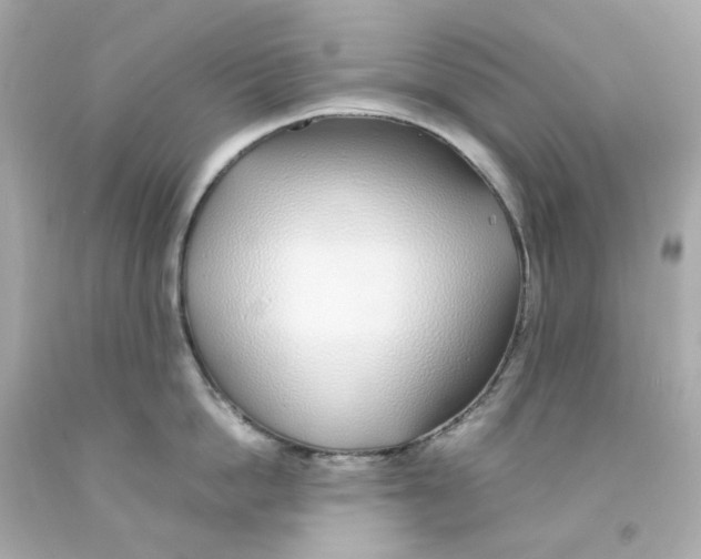 X0000093150862200710241401