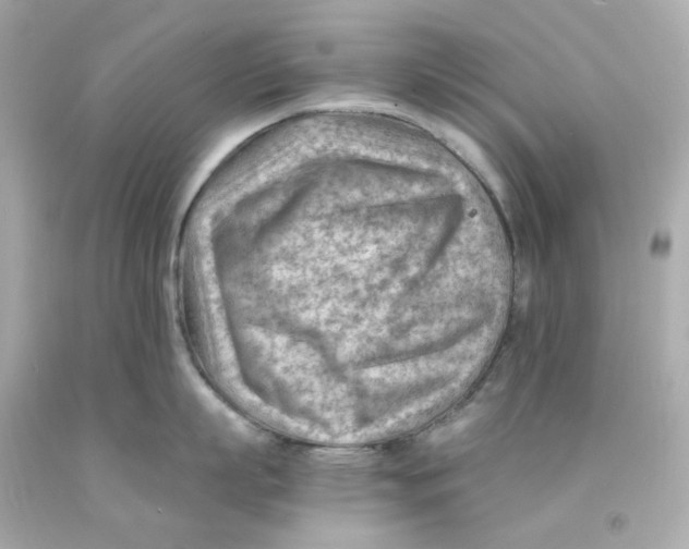 X0000093150863200710241401