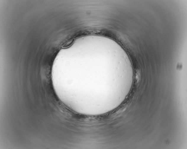 X0000093150867200710241401