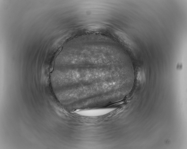 X0000093150868200710241401