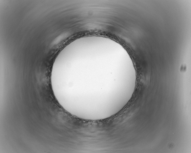 X0000093150869200710241401