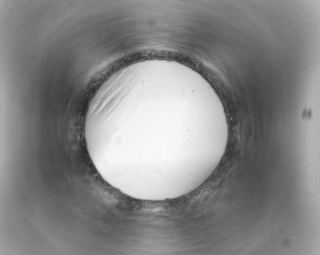 X0000093150870200710241401