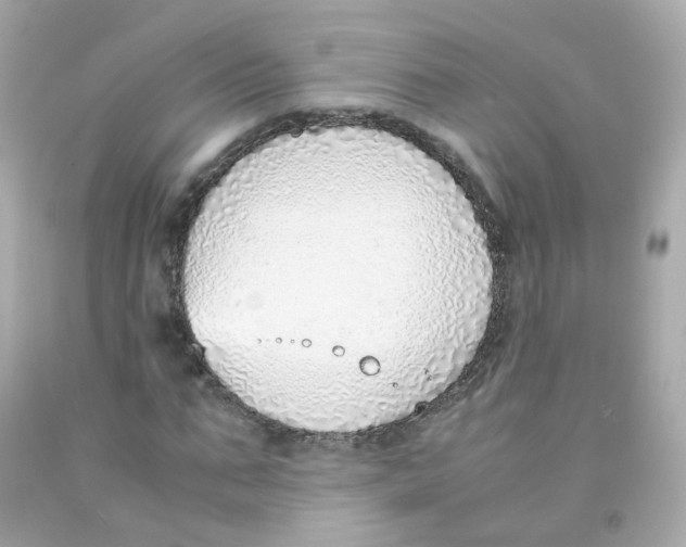 X0000093150871200710241401