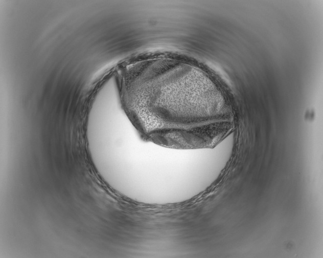 X0000093150872200710241401