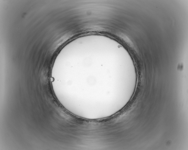 X0000093150873200710241401