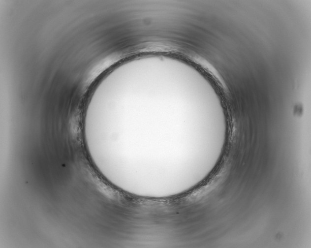 X0000093150874200710241400