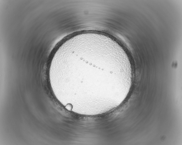 X0000093150875200710241400