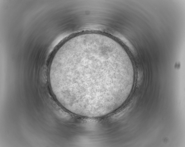 X0000093150878200710241400