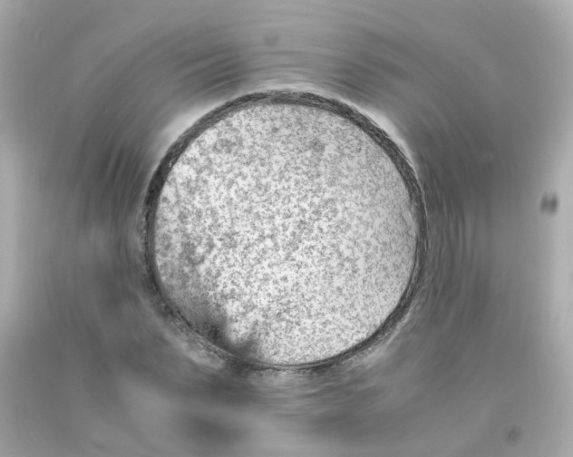 X0000093150879200710241400