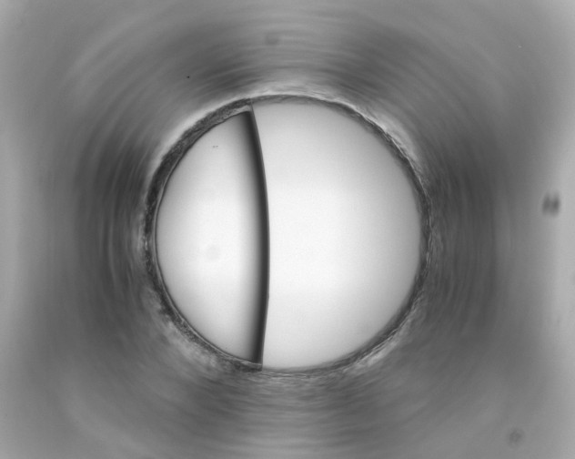 X0000093150880200710241400