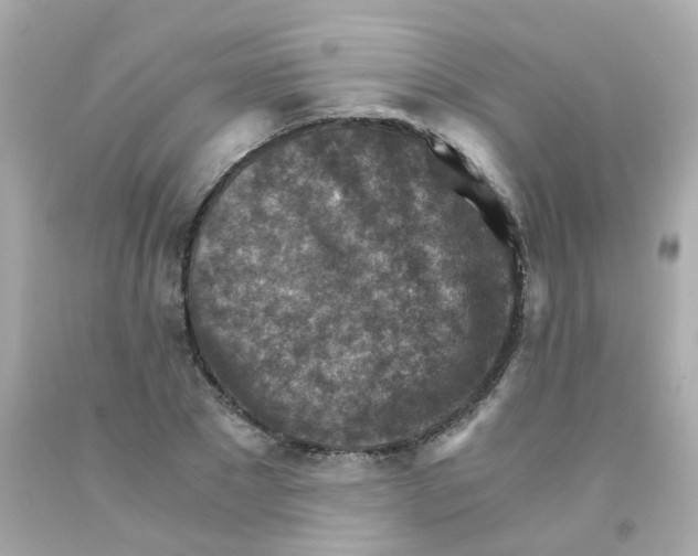 X0000093150881200710241400