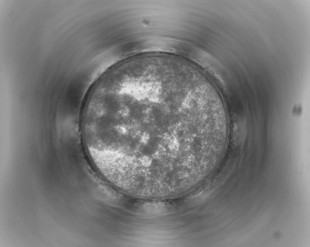 X0000093150882200710241400