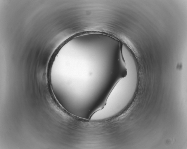 X0000093150884200710241400