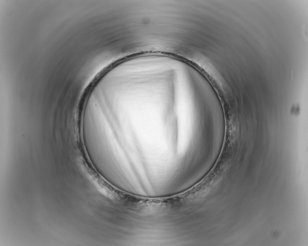 X0000093150886200710241400