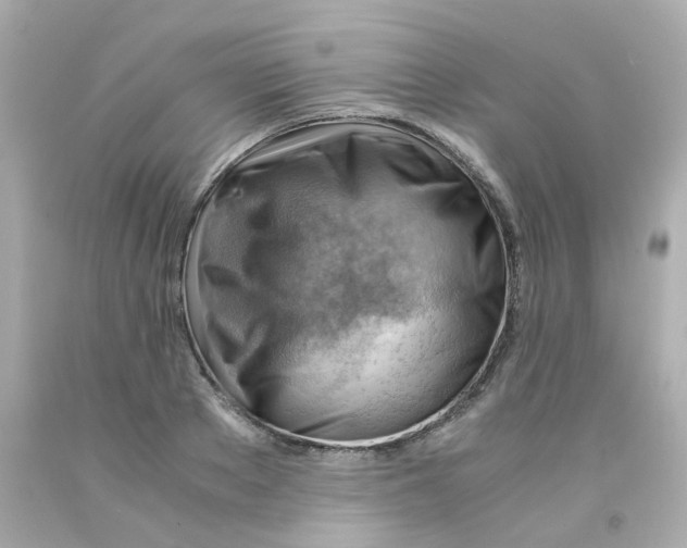 X0000093150889200710241400