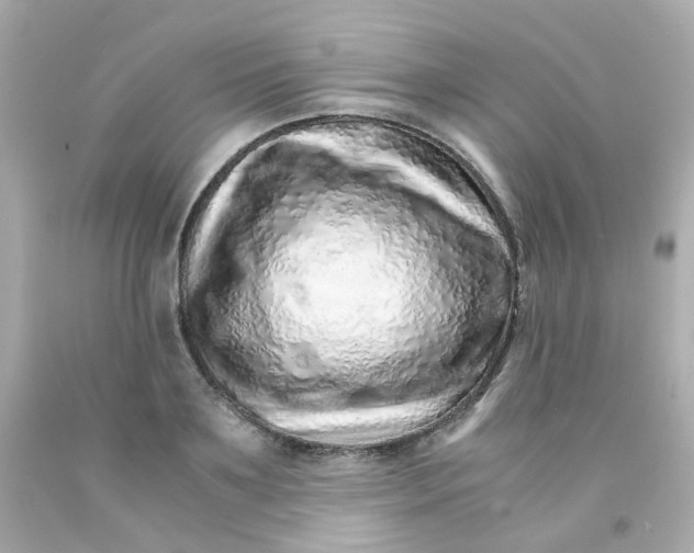 X0000093150891200710241400