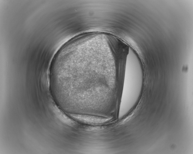 X0000093150892200710241400