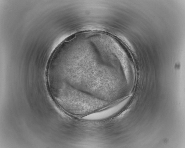 X0000093150893200710241400