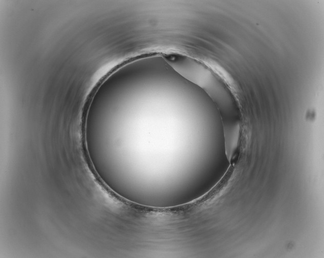 X0000093150894200710241400