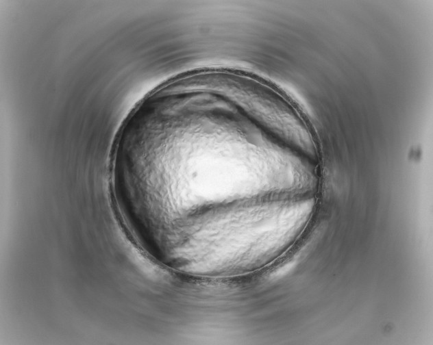 X0000093150895200710241400