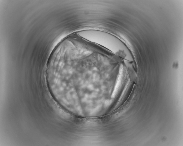 X0000093150899200710241400