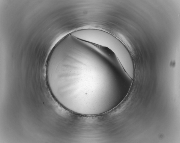 X0000093150900200710241400