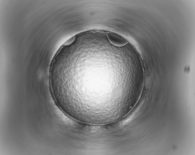 X0000093150903200710241400