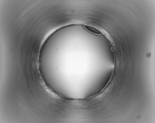 X0000093150904200710241400