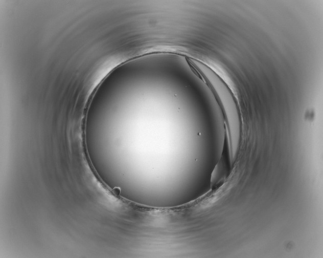 X0000093150906200710241400