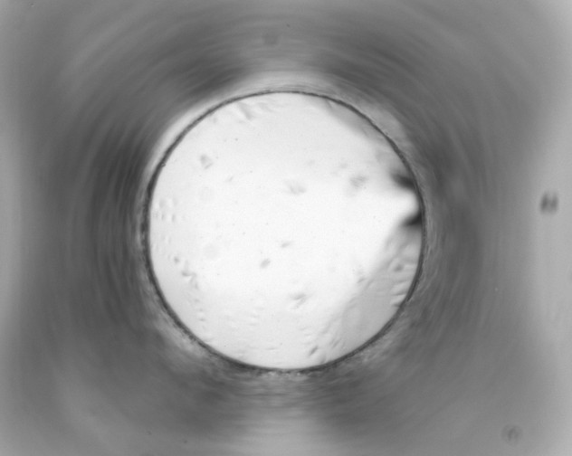 X0000093150912200710241400