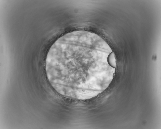 X0000093150913200710241359