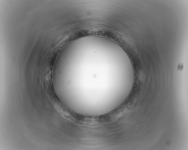 X0000093150914200710241359