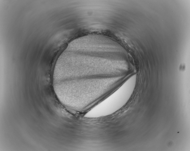 X0000093150916200710241359