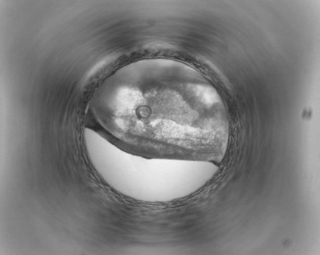 X0000093150919200710241400