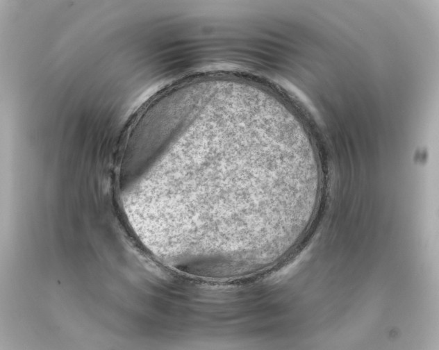 X0000093150921200710241400