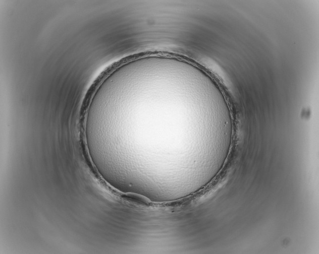 X0000093150924200710241400