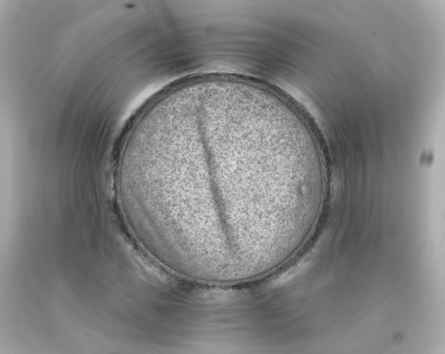 X0000093150925200710241400