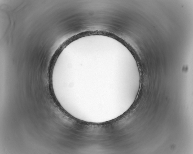 X0000093150927200710241400