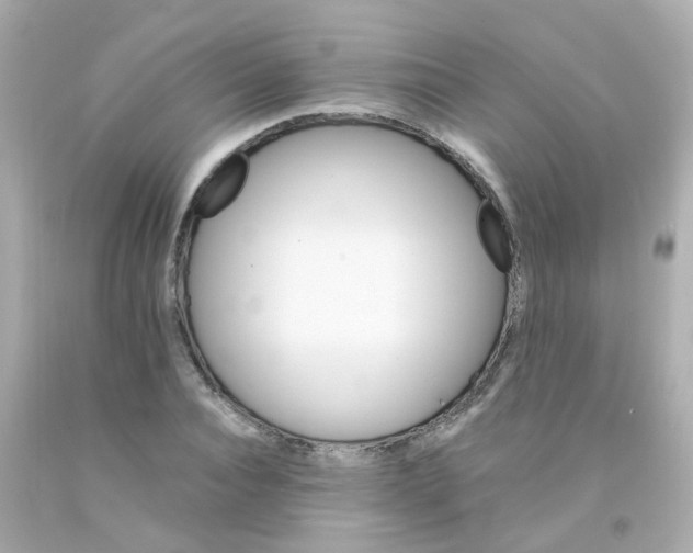 X0000093150928200710241400