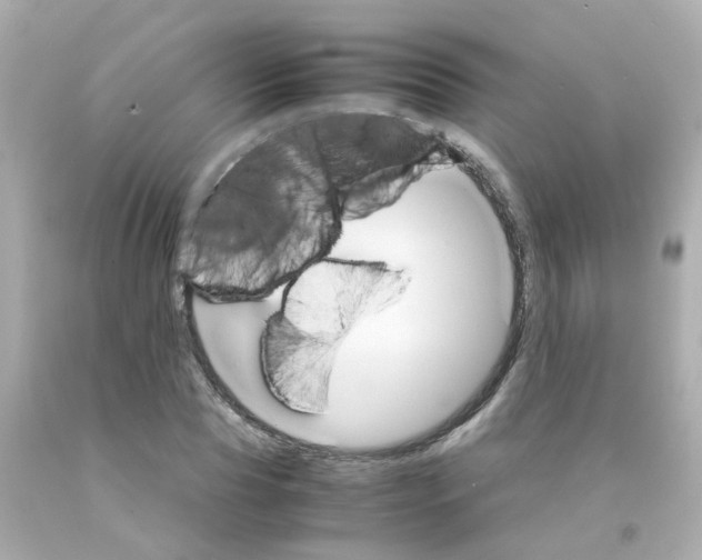 X0000093150929200710241400